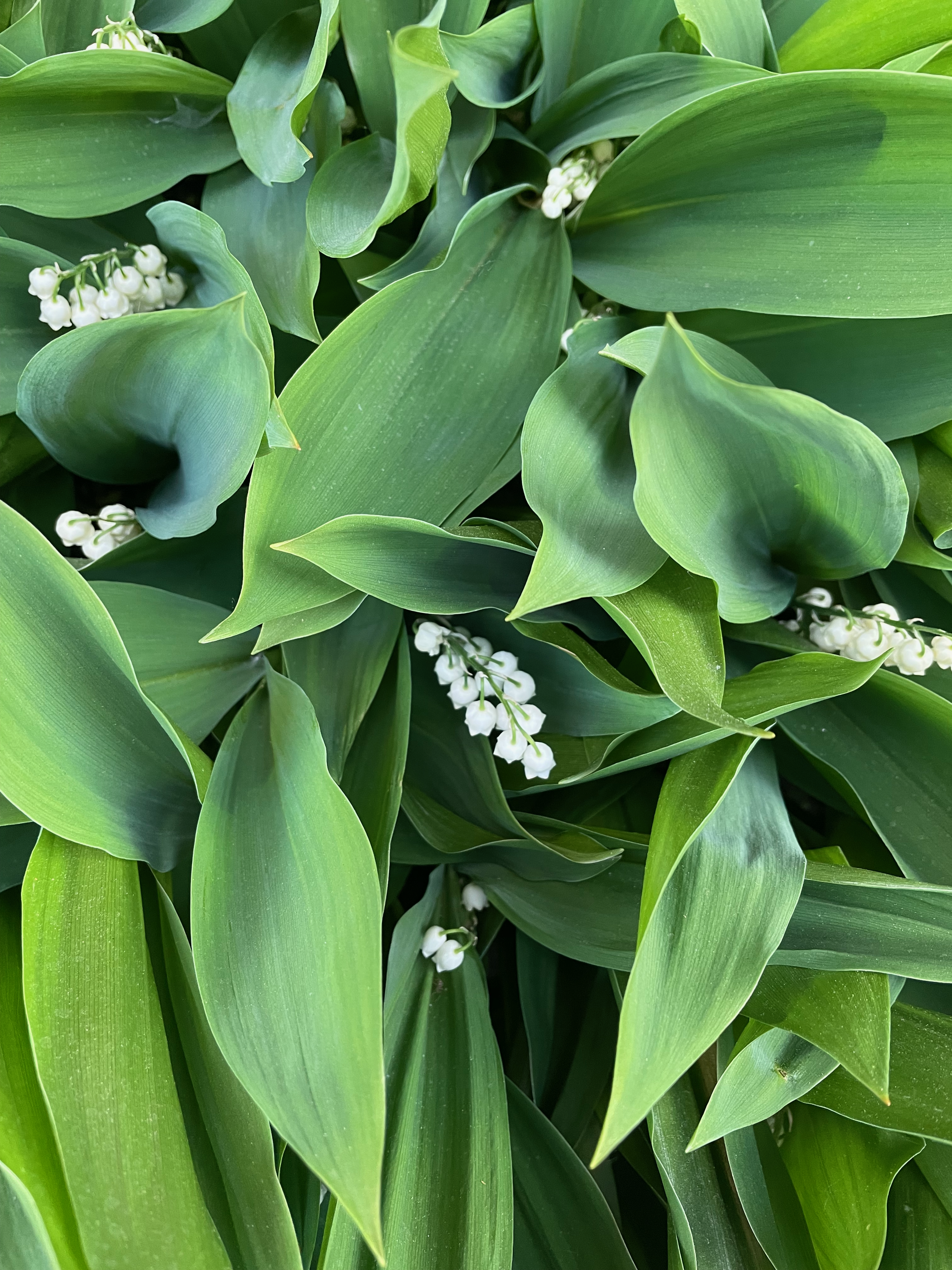 Let’s Talk About Worth