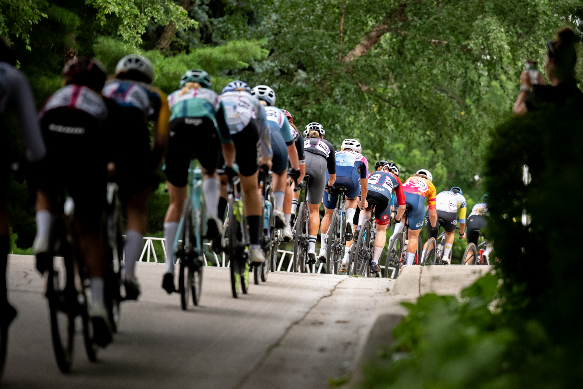 A single line of female criterium racers heading away from the camera on a tree lined street